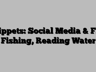 Tippets: Social Media & Fly Fishing, Reading Water        